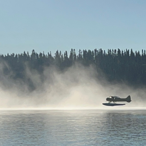 Fog's gone... Time to go.