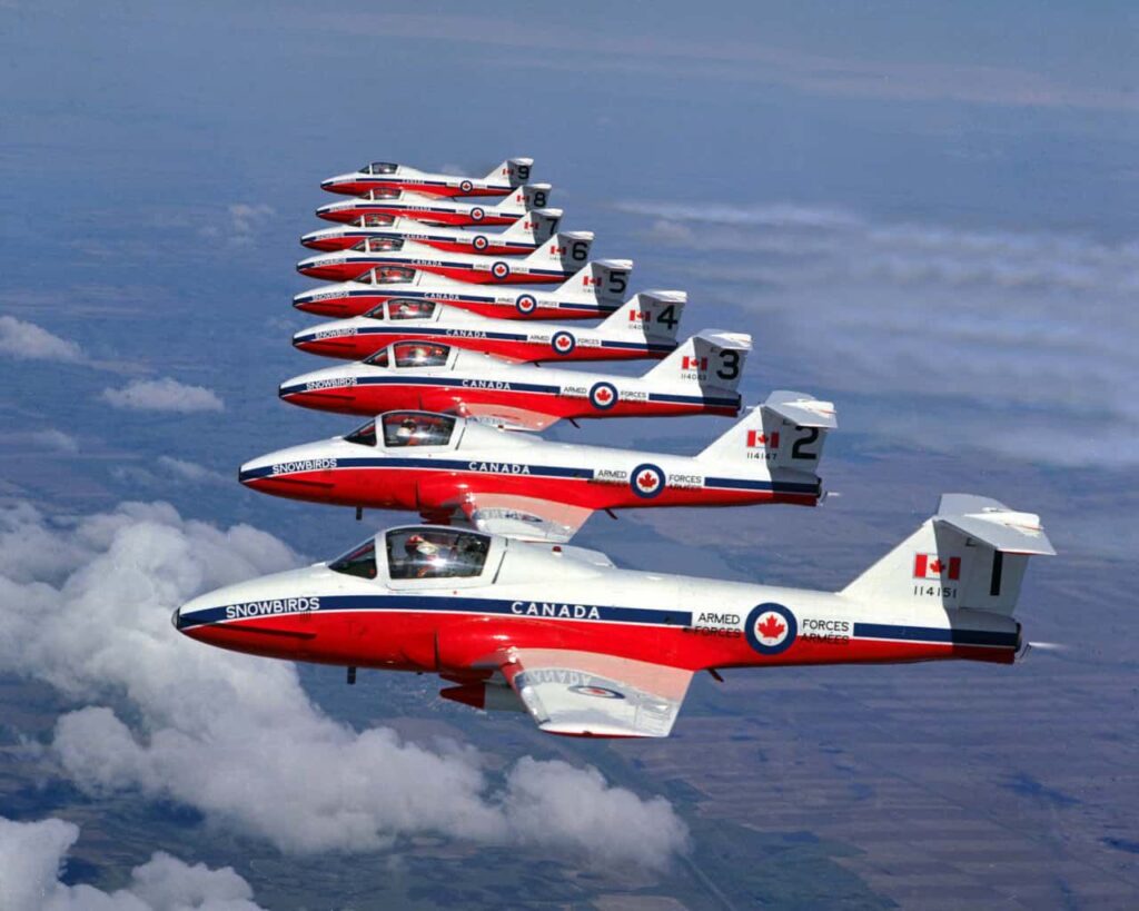Snowbirds-1024x819.jpeg